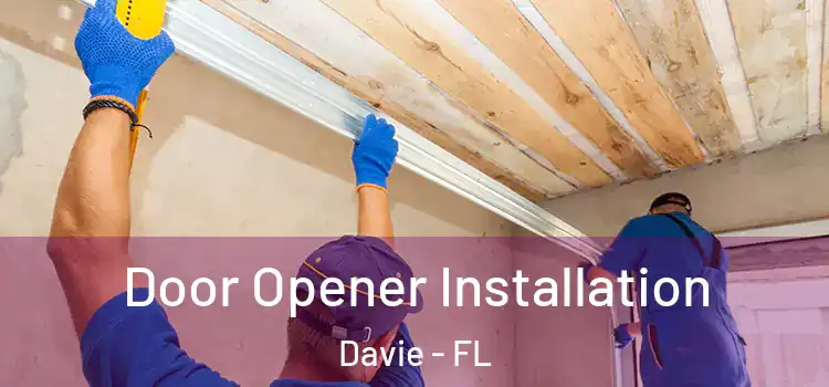 Door Opener Installation Davie - FL