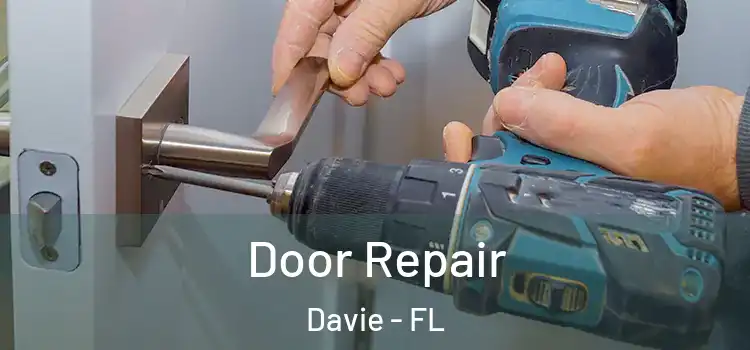  Door Repair Davie - FL