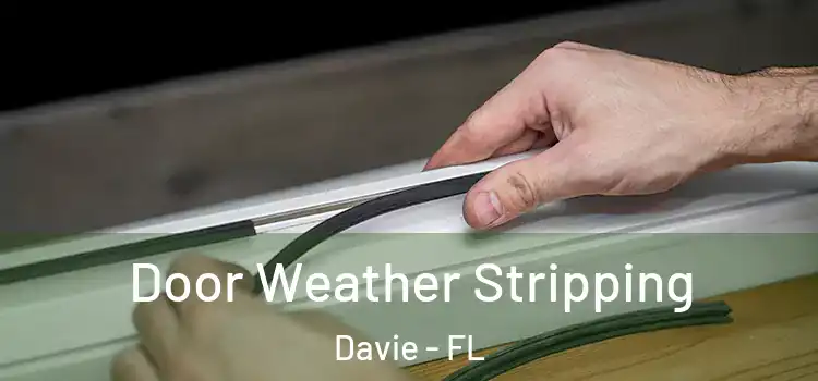  Door Weather Stripping Davie - FL