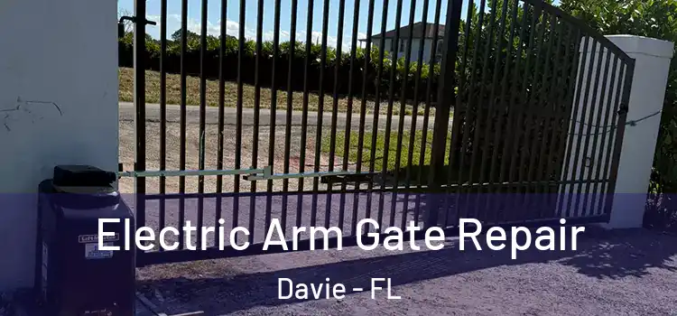 Electric Arm Gate Repair Davie - FL