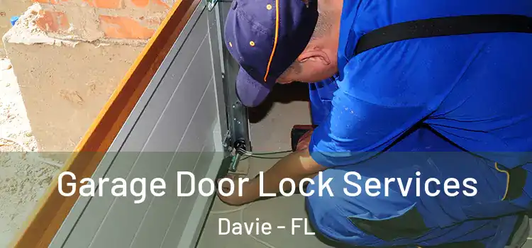Garage Door Lock Services Davie - FL