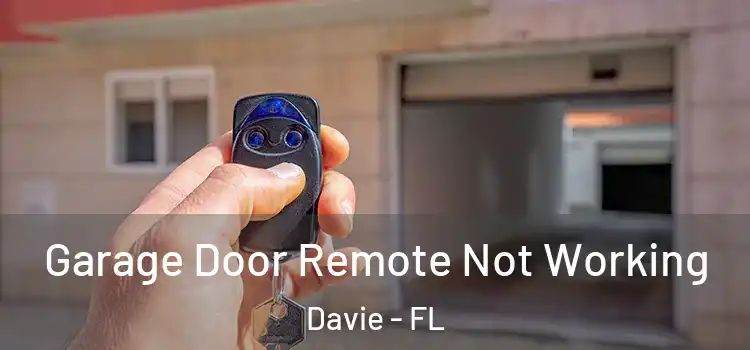  Garage Door Remote Not Working Davie - FL