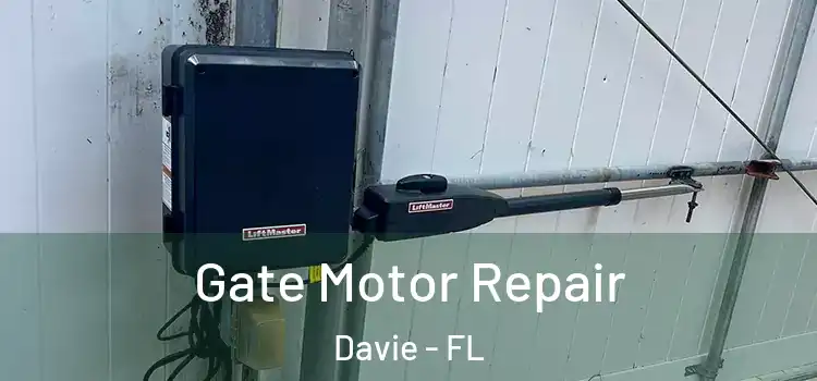  Gate Motor Repair Davie - FL