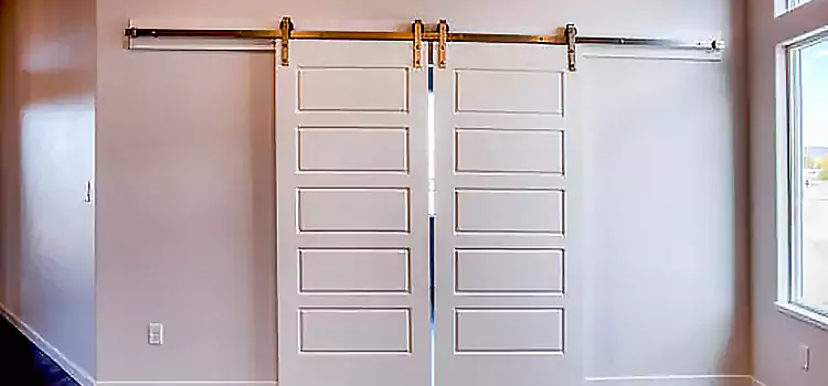 Glass Barn Door with Installation Hardware Kit Davie