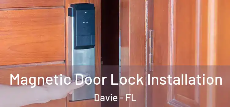  Magnetic Door Lock Installation Davie - FL