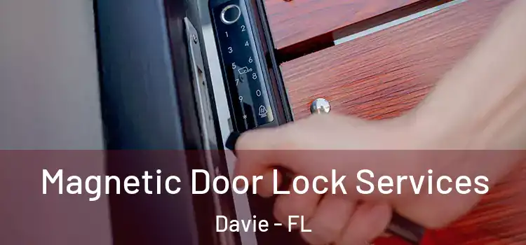 Magnetic Door Lock Services Davie - FL