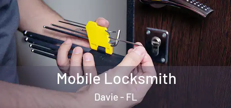 Mobile Locksmith Davie - FL