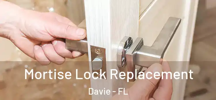 Mortise Lock Replacement Davie - FL