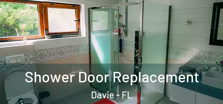Shower Door Replacement Davie - FL