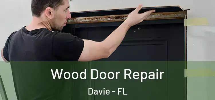 Wood Door Repair Davie - FL