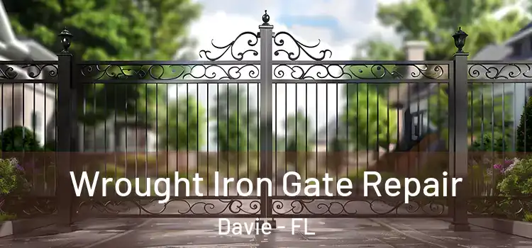 Wrought Iron Gate Repair Davie - FL